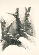 Natura antropomorfa II