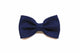 Blue bowtie
