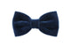 Papillon in velluto blu